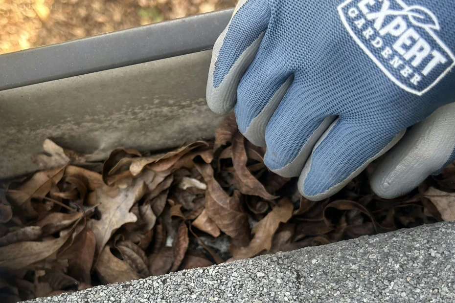 Delray Beach Gutter Cleaning