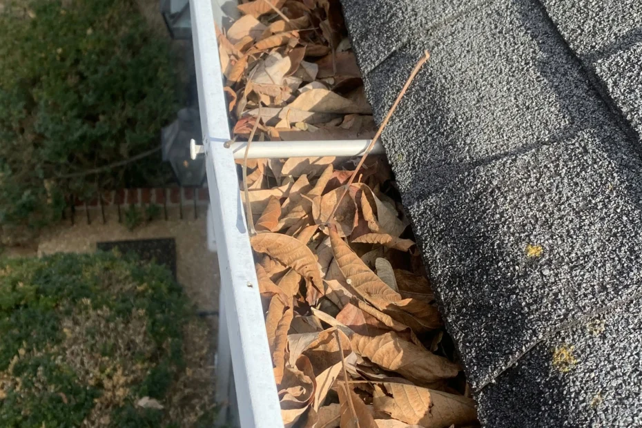 Delray Beach Gutter Cleaning
